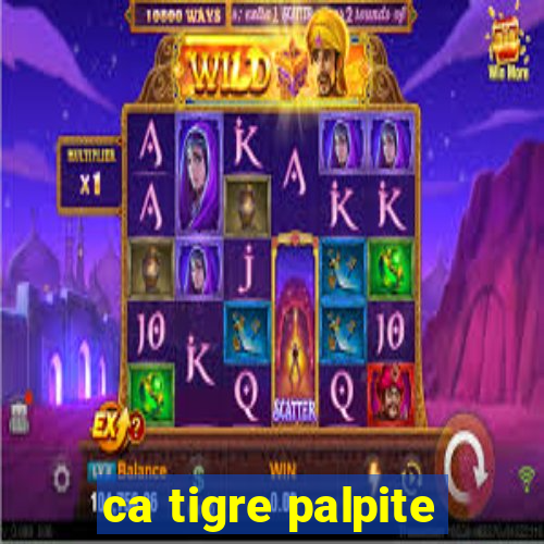 ca tigre palpite